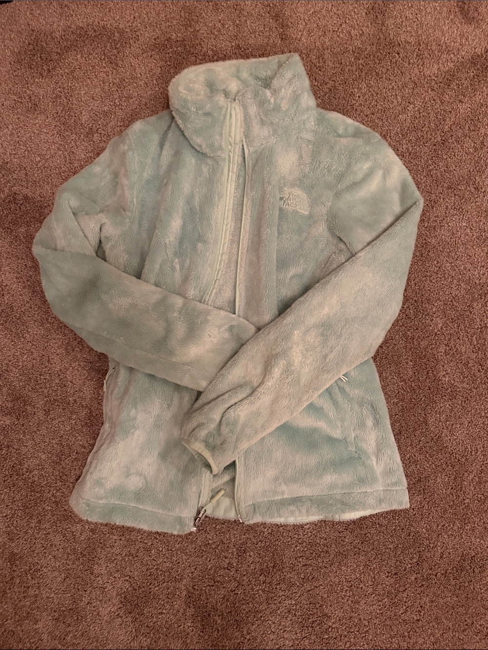 The North Face Women's Mint Green Plush Full-Zip Teddy Jacket